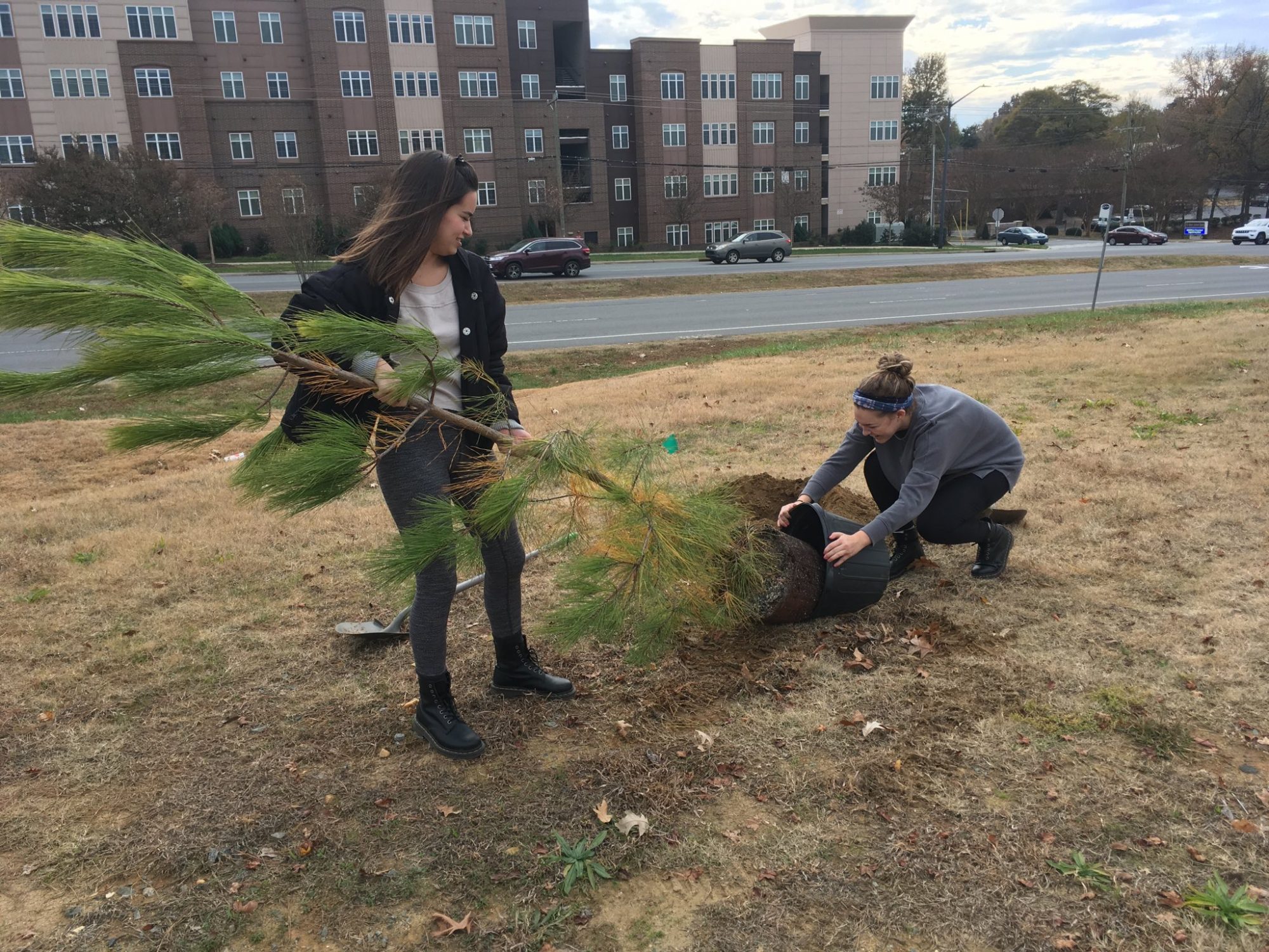 Italy: Architecture Semester in Rome students planting trees