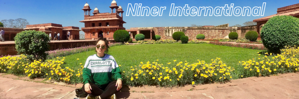 Niner International